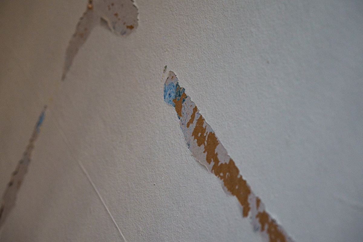 Storm Damage Repair service in Little Rock, AR